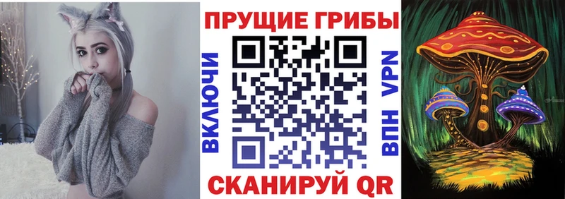 купить наркотики сайты  Углич  hydra сайт  Псилоцибиновые грибы прущие грибы 